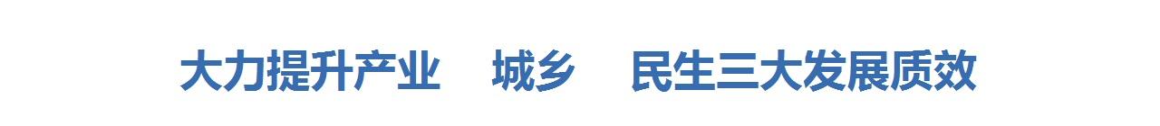 大力提升產業  城鄉 民生三大發展質效
